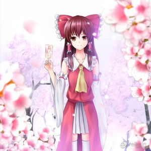 美女隐私的秘密网站
